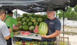 聊城红内裤吃瓜,一场网络吃瓜盛宴背后的真相揭秘