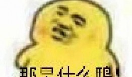 吃瓜表情包图片