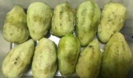 康定中学吃瓜,揭秘校园里的热点话题