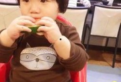 嘟嘟吃瓜小说,揭秘娱乐圈背后的秘密与真相