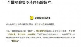 吃瓜国产休息,探寻吃瓜休闲的味蕾盛宴