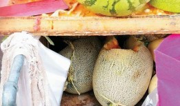 西沙瓜怎么切块吃,夏日清凉解渴的完美选择