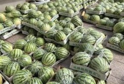 大慧吃瓜,揭秘娱乐圈幕后故事