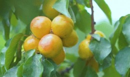 吃瓜群众直呼过瘾,揭秘娱乐圈幕后风云