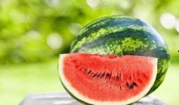 夏天吃瓜的方式,瓜果飘香，尽享清凉时光
