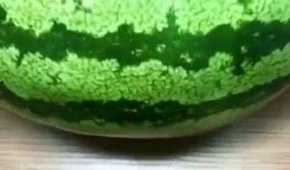 吃瓜和洗脸的区别