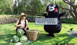 商业的吃瓜事件,揭秘吃瓜事件背后的商业博弈