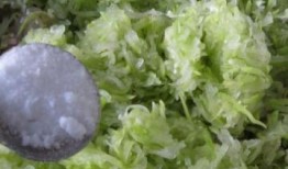 胃炎可以吃瓠子瓜吗,胃炎患者适宜食用瓠子瓜的饮食建议