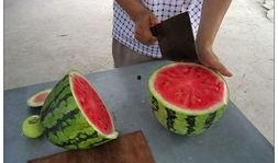 365吃瓜部落,揭秘娱乐圈那些不为人知的幕后故事