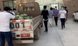 鄄城吃瓜新闻,揭秘当地特色美食背后的故事