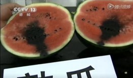 吃瓜预告文字视频,视频内容抢先看，精彩瞬间不容错过