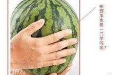 悄悄吃瓜啥意思,网络流行语的趣味解读