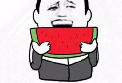 等待吃瓜,揭秘等待吃瓜的欢乐时光