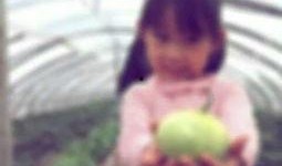 今夜吃瓜的图片,揭秘娱乐圈最新“吃瓜”事件