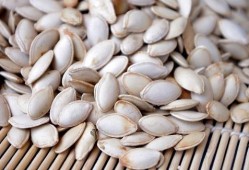 胃炎可以吃瓠子瓜吗,胃炎患者适宜食用瓠子瓜的饮食建议