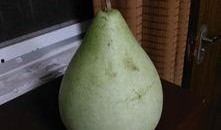 盐城最新吃瓜事件,真相竟如此反转！