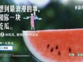吃瓜现场文案,一场全民参与的娱乐盛宴