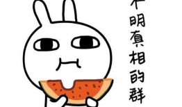 吃瓜别撑着怎么回复