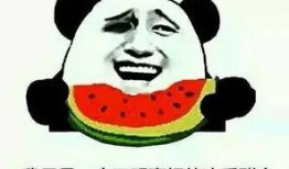 如何看待自己吃瓜,理性看待娱乐圈的喧嚣与平静