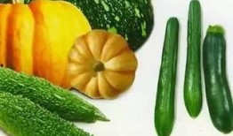 橙汁吃瓜,夏日消暑新风尚