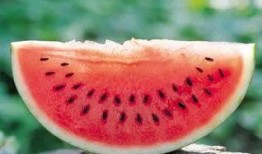 蓝牙吃瓜曲君落,揭秘蓝牙音乐新潮流