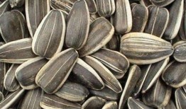 葵瓜孕妇可以吃,营养美味两不误