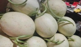 顶流吃瓜2,娱乐圈风云再起，揭秘明星背后的秘密