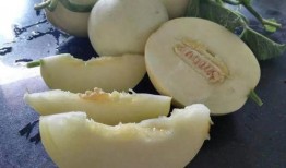 九围吃瓜,揭秘吃瓜群众的狂欢盛宴