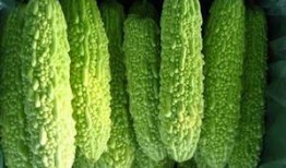 减肥打卡吃瓜,吃瓜也能瘦，揭秘健康瘦身新潮流