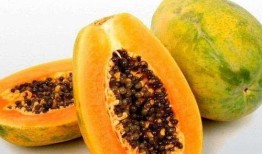 怀孕吃芒果后又吃瓜,营养美味两不误
