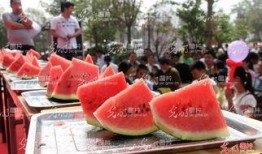 单位比赛吃瓜比赛,一场别开生面的单位吃瓜大赛盛况回顾