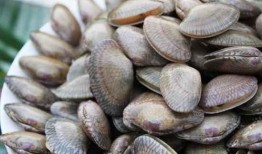 吃瓜螺引起过敏,揭秘海鲜美味背后的风险