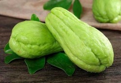 瓜菜代吃四两,战时生活下的饮食智慧