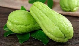 瓜菜代吃四两,战时生活下的饮食智慧