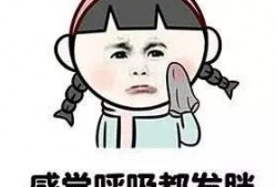 瓜娃子吃包子好吗