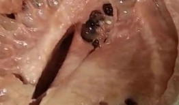 吃瓜四川雅安,瓜果飘香，品味独特美食之旅