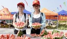 广西艺校吃瓜,揭秘校园吃瓜背后的故事