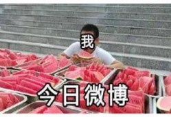 吃瓜前线全部,揭秘娱乐圈最新热点事件