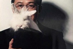 吃瓜的散了,揭秘事件背后真相