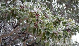 洛秋吃瓜,揭秘娱乐圈背后的那些事儿