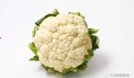 菜花艾滋吃瓜,吃瓜群众如何应对网络谣言