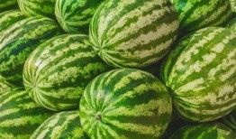 刀小刀的瓜在哪吃