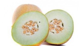 初孕可以吃哈密瓜吗,哈密瓜，孕期美味的选择