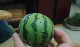 盐城最新吃瓜事件,真相竟如此反转！