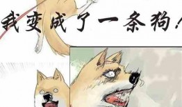 吃瓜变强小说全文阅读,从瓜田到巅峰的奇幻之旅
