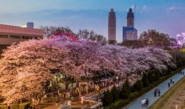 抖音最新吃瓜喷泉,吃瓜喷泉，趣味横生的互动盛宴