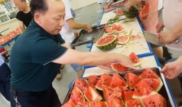 重庆学院吃瓜,校园吃瓜文化盛行，揭秘校园生活趣味瞬间