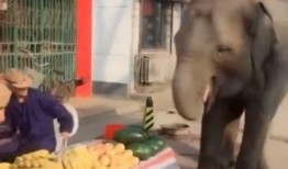 你别太吃瓜,理性看待网络舆论，守护心灵净土