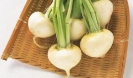 吃萝卜的瓜,一场味蕾的盛宴