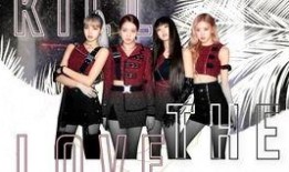 pink吃瓜,揭秘娱乐圈幕后故事